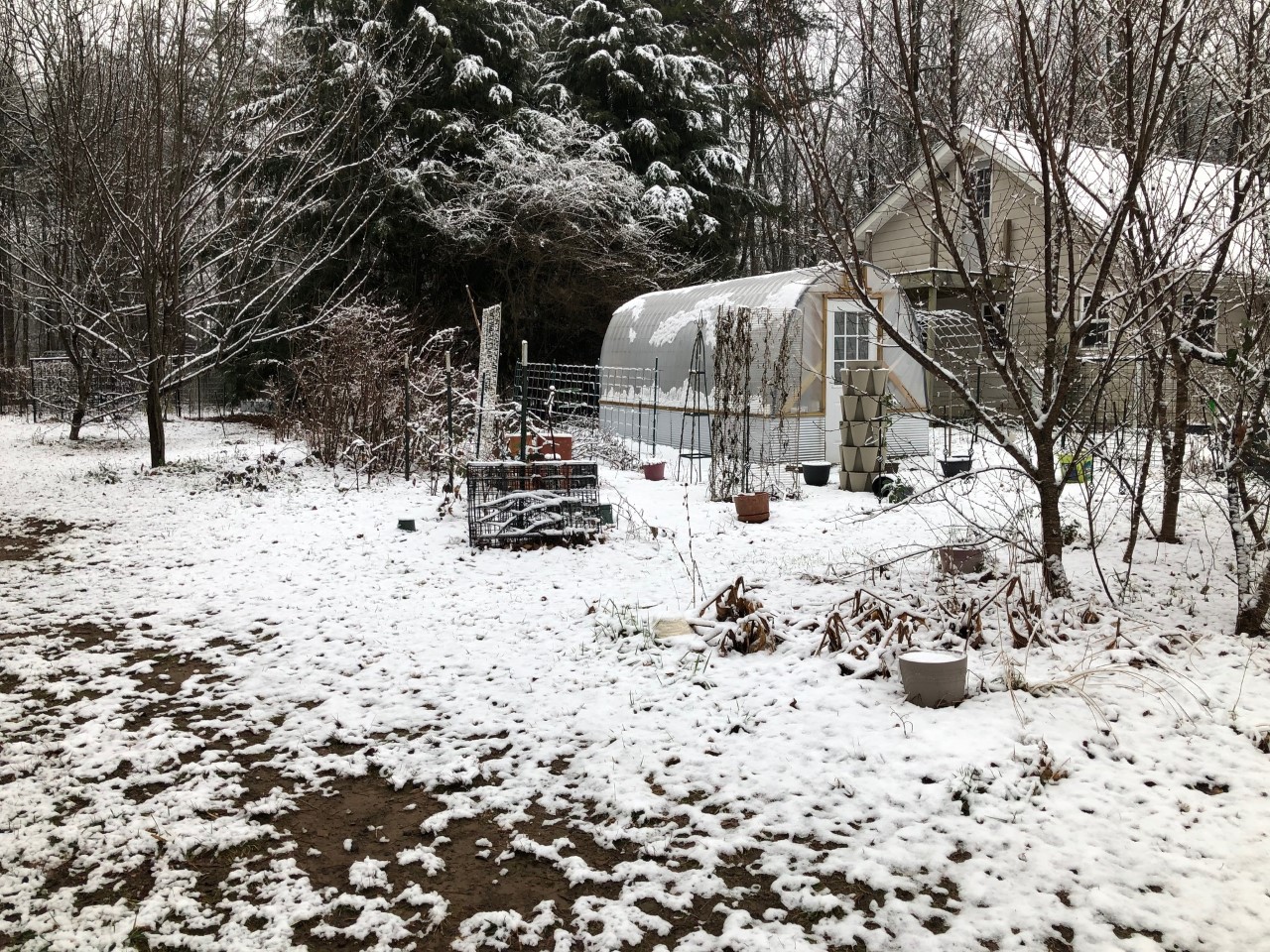 Greenhouse Winter